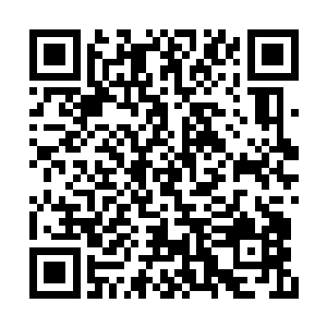 是因为奸细泄露了燕元帅的行军路线跟边城布防二维码生成