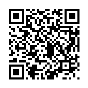 是因为她头上的虎雕体型是普通虎雕的十倍二维码生成