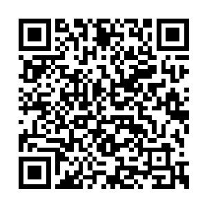 是因为宁小姐本身就是艾格菲丽在华夏的代理商二维码生成