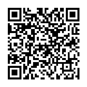 是因为张雅姐姐本身具有神仙姐姐一样令人着迷的气质二维码生成