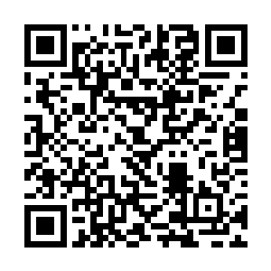 是因为您的研究条件实在是太恶劣了……好马配好鞍二维码生成