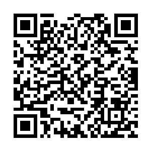 是因为曾经就梦想着哪天掀起雅典娜的裙子打她屁股二维码生成