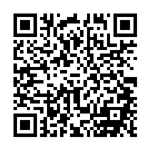 是因为李梦云无比担心这个能够轻易用肉身抵抗紫金天雷二维码生成