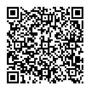 是因为每天披星戴月的辛苦劳作让心也劳碌的没有任何空间去思考自己的孩子了吗二维码生成