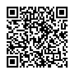 是因为玩家女子的存在已经严重扰乱了剧情世界的秩序二维码生成