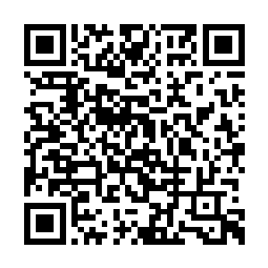 是因为自己的堂兄咬住了牙关没有将自己咬出来二维码生成