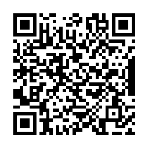 是因为这个家伙身上也有着属于文森特的气质吧……二维码生成