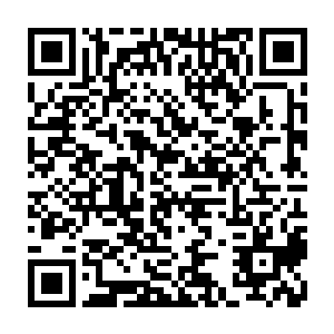 是因为那少女出场时的一袭红裳让他一眼想到了早年初见红尘仙子的情形二维码生成