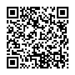 是在告诉她那太子妃的位置是如何都落不到她的身上二维码生成