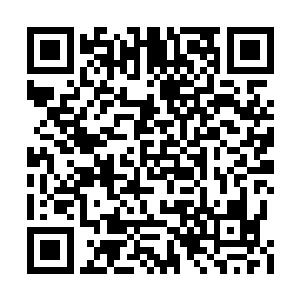 是在缅怀那些为修真正道而牺牲生命的修真者们二维码生成