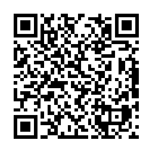 是在说等我家大力十八岁的时候派出考察队的事吗二维码生成