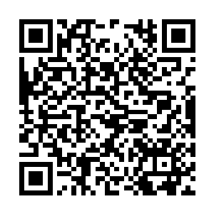 是女儿许晴对秦小子完全死心后……陆枚说得没错二维码生成