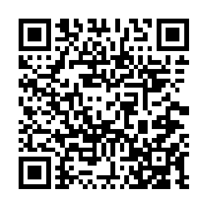 是将自己魂识波动频率调整的和虎妖王施展庚金术时一样二维码生成