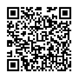 是我那个老爹在外面播的种……虽然被赐姓服部二维码生成