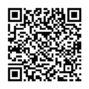 是所有的仙尊高手中除了天云仙帝中收获最为丰盛的二维码生成