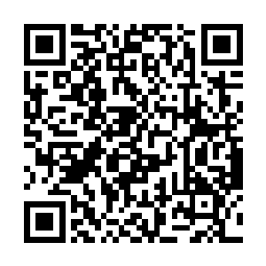 是指一块本就被石头包裹住的玉石翡翠经过岁月沉淀二维码生成