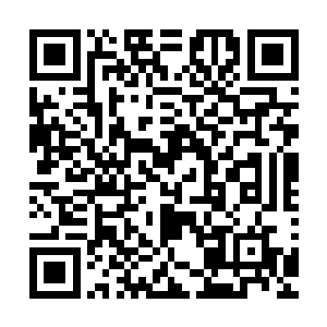 是搞学问的人遇到了自己喜爱并且擅长那个领域问题时的状态二维码生成