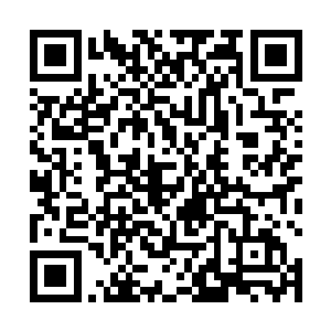 是李爸这位高等教师足足十几年不吃不喝才能挣得到的二维码生成