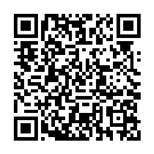 是林前辈同意让我们跟随一起前往东瀛做任务的二维码生成