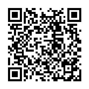 是林国荣同志担任海都市委书记时的重要心腹之人二维码生成