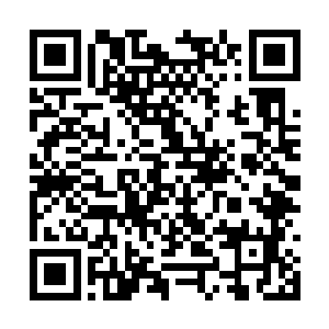 是根据修为不同反应在修士的眼睛中也是不一样的二维码生成