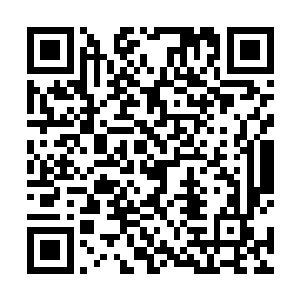 是没人会敢轻易吵醒刘健这位大明朝如今的首辅大人的二维码生成