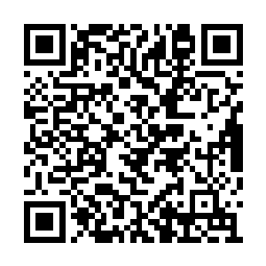 是灰烬之塔首席巫师团的成员才有资格穿的衣服二维码生成