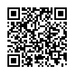 是特雷西皇后和保罗教皇亲自下的命令二维码生成