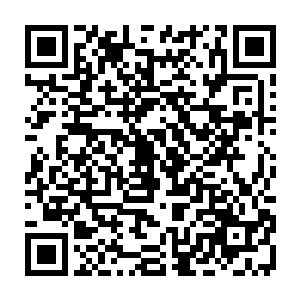 是用一个外界的健康的肾脏去替换体内一个报废了已经无法发挥原有功能的肾脏二维码生成