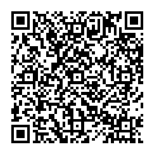 是用来感谢奥劳拉小姐和灰鹰部落这段时间对彼得先生的照顾与赎回彼得先生在两位手上的东西二维码生成