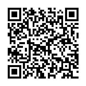 是秦洛一而再再而三的要他使劲儿要他搏命要他出杀招二维码生成