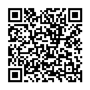 是老皇帝曾经对曾经抱有重望的继承人候选最后的同情二维码生成