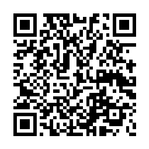 是自己接触过的高官里面最没有官架子的一位了二维码生成