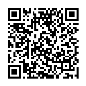 是蒋嫂子的儿子瞧中了我们娘子身边的二等丫头玲铛二维码生成