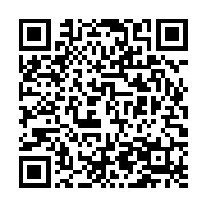 是要去断海牙接应西皇母和云冰心这些真心跟我合作的修士二维码生成