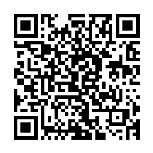 是许紫烟的灵魂中融合的一丝凤祖的魂力爆发出了灵魂的力量二维码生成