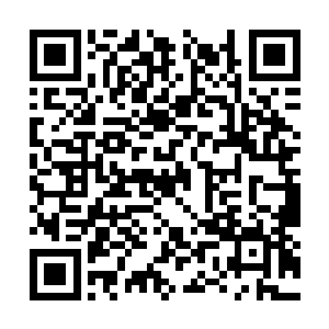 是跆拳道大师金基哲在美国开办的第一家跆拳道馆二维码生成