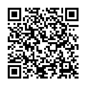 是跑那个中药材专业市场的项目还是大东制药厂的项目二维码生成