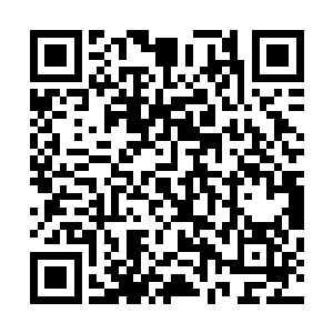 是这一次护送烈士遗骨回归发起的自愿者组成的协会的会长二维码生成