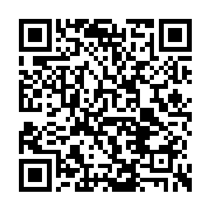 是这世上第二个亮起的被人类所掌控的火种火焰二维码生成