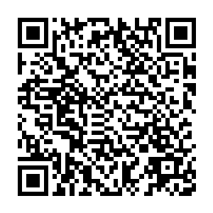 是这场跨越一千个世代的漫长征途令他们明白了自身的渺小和脆弱二维码生成