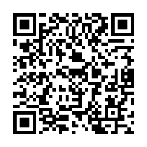 是这样的……这江先生之前涉及到一起殴打刘文采的案子二维码生成