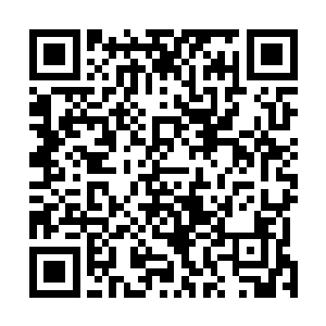 是道路的直接映射……可惜零号舰的数据库提供信息有限二维码生成