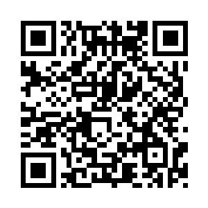 是陈红专门为两个小家伙设立的产业二维码生成