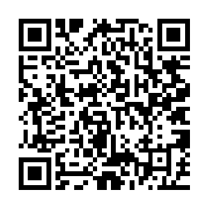 是马文将避难所军事力量分散化之后重新进行的一个编制单位二维码生成