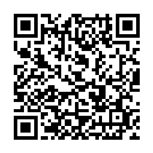 是龙族曾盘踞在这片大陆食物链顶端几十万年的威能二维码生成