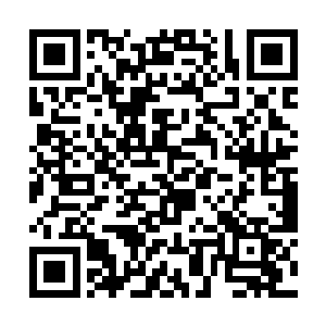 显然他们还没有从之前两件帝器的事情之中恢复过来二维码生成