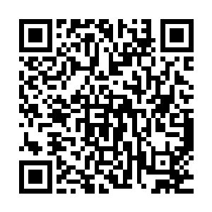 显然他没想到这噬灵鼠皇那肥硕的身体竟然有如此恐怖的速度二维码生成