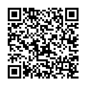 显然他远远都没想到这个所谓的高手竟然高到了如此恐怖的程度二维码生成