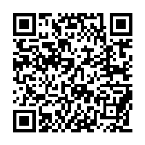 显然君涵小朋友还在锲而不舍的寻找他的新朋友二维码生成